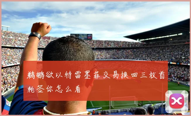 鹈鹕欲以特雷墨菲交易换回三枚首轮签你怎么看