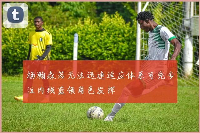 杨瀚森若无法迅速适应体系可先专注内线蓝领角色发挥