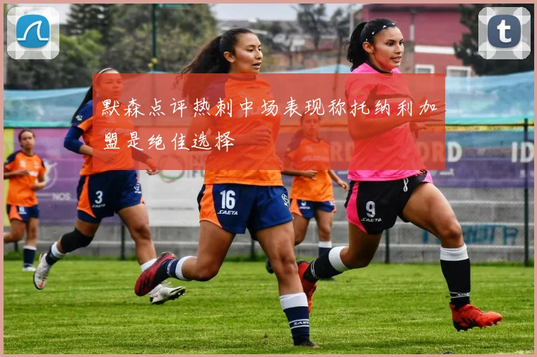 默森点评热刺中场表现称托纳利加盟是绝佳选择